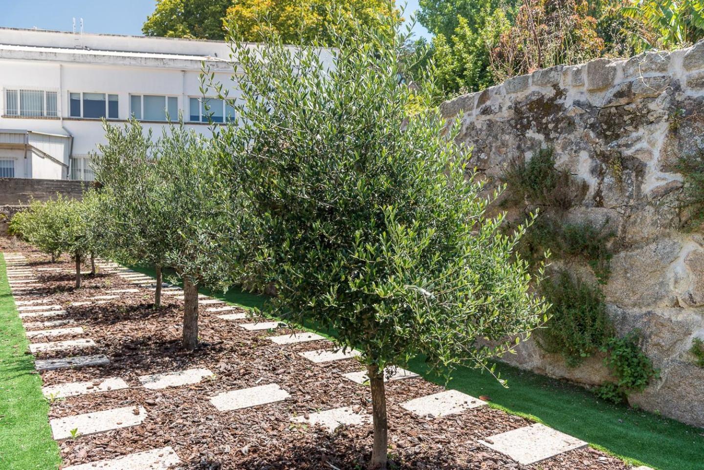Guestready - Jardim Das Oliveiras Guesthouse - 2 Porto Ngoại thất bức ảnh